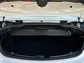Mercedes-Benz C 180 Cabriolet AMG-Line Aircap Kamera Tempomat Wit - thumbnail 16