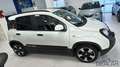 Fiat Panda Pandina 1.0 FireFly 65 CV Hybrid Cross Weiß - thumbnail 5