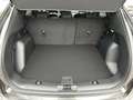 Ford Kuga Titanium 2.5l FHEV 180PS Automatik Grau - thumbnail 10