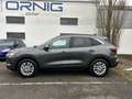 Ford Kuga Titanium 2.5l FHEV 180PS Automatik Grau - thumbnail 3