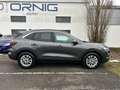 Ford Kuga Titanium 2.5l FHEV 180PS Automatik Grau - thumbnail 6