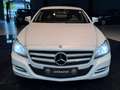 Mercedes-Benz CLS 250 CLS250 CDI LED Bi-Xenon Memory Leder Comand PDC Blanc - thumbnail 2