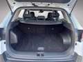 Kia Sportage Silber 1.6 CRDI 48V Weiß - thumbnail 20