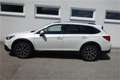 Subaru OUTBACK Outback Touring Wagon 2,0 D Comfort AWD CVT Weiß - thumbnail 12