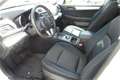 Subaru OUTBACK Outback Touring Wagon 2,0 D Comfort AWD CVT Weiß - thumbnail 6