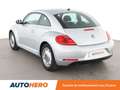 Volkswagen Beetle 1.2 TSI Vintage Gris - thumbnail 4