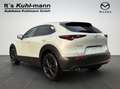 Mazda CX-30 2.5L e-SKYACTIV G 140ps Homura Weiß - thumbnail 4