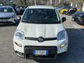 Fiat Panda New My24 1.0 70cv Hybrid Panda Blanc - thumbnail 7