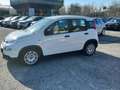 Fiat Panda New My24 1.0 70cv Hybrid Panda Blanc - thumbnail 8
