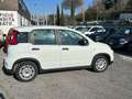 Fiat Panda New My24 1.0 70cv Hybrid Panda Blanc - thumbnail 6