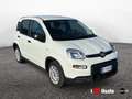 Fiat Panda New My24 1.0 70cv Hybrid Panda Blanc - thumbnail 2
