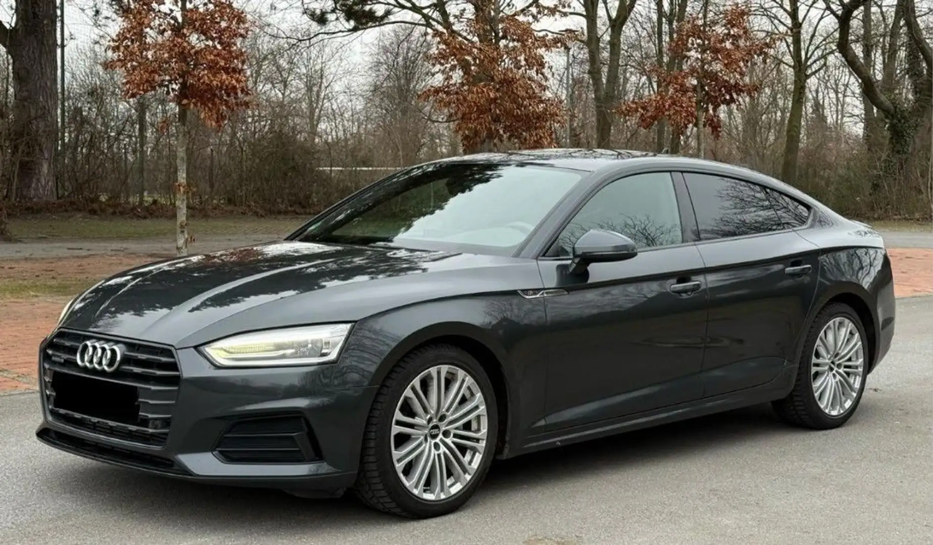 Audi A5 Sportb 3.0 TDI quat S-Line Sport plus B&O NAV Grau - 1