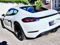 Porsche 718 Cayman 20-Zoll Felgen PDK Weiß - thumbnail 4
