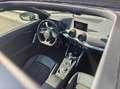 Audi Q2 2.0 TDI quattro Sport Pro Line S Grau - thumbnail 23