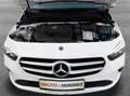 Mercedes-Benz B 180 d Progressive Aut.*DIGI-DISPLAY*LED*NAVI*CAM*AH... Weiß - thumbnail 25