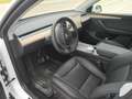 Tesla Model Y Standard Range / Standard Blanc - thumbnail 7