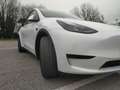 Tesla Model Y Standard Range / Standard Blanc - thumbnail 17