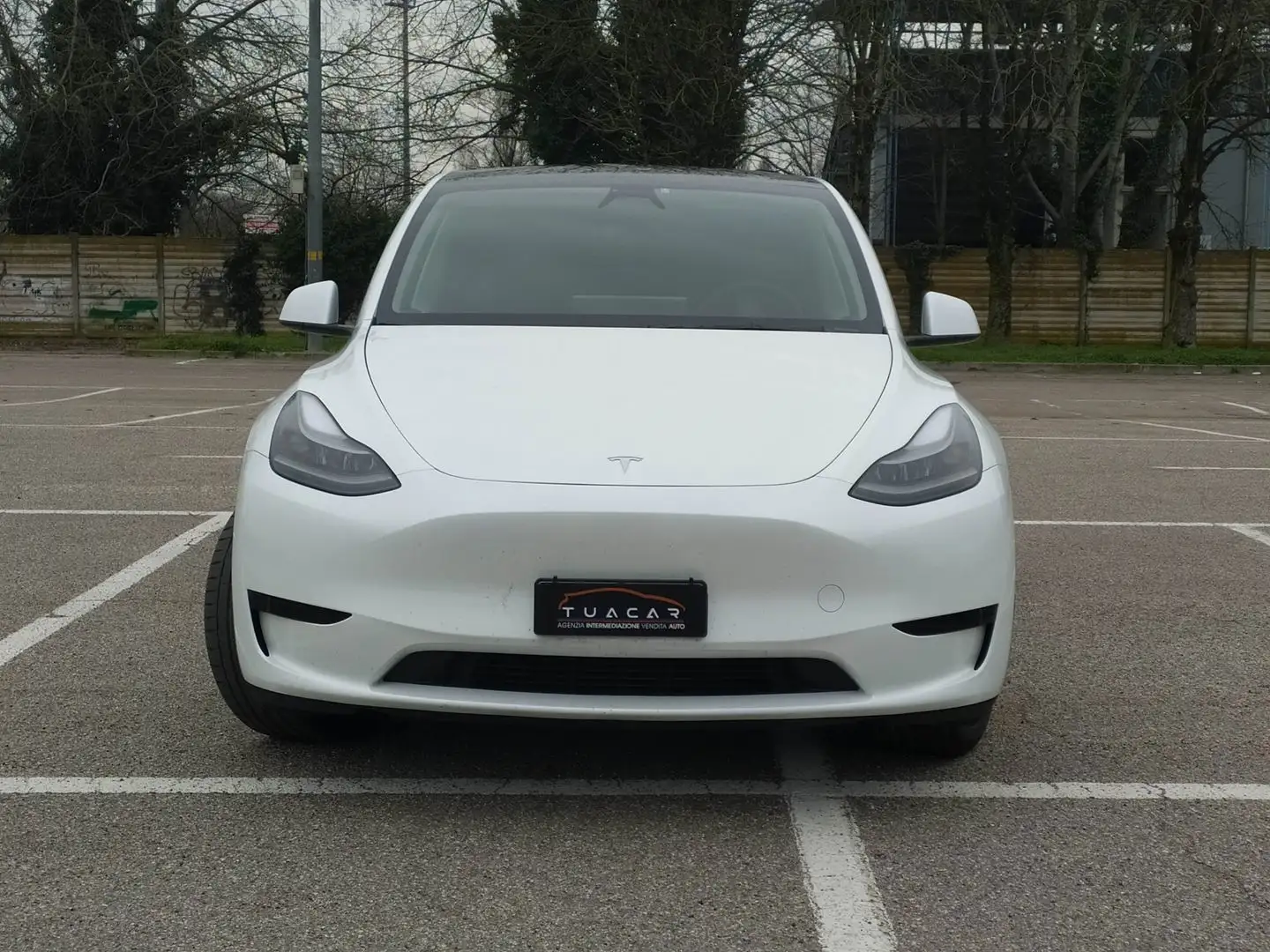 Tesla Model Y Standard Range / Standard Blanc - 2