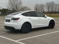 Tesla Model Y Standard Range / Standard Blanc - thumbnail 4
