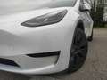 Tesla Model Y Standard Range / Standard Blanc - thumbnail 6