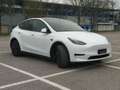 Tesla Model Y Standard Range / Standard Blanc - thumbnail 3