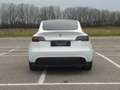 Tesla Model Y Standard Range / Standard Blanc - thumbnail 14