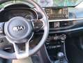 Kia Picanto Picanto 1.0 Active Gpl my18 Bianco - thumbnail 9