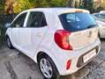 Kia Picanto Picanto 1.0 Active Gpl my18 Bianco - thumbnail 6