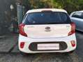Kia Picanto Picanto 1.0 Active Gpl my18 Bianco - thumbnail 4