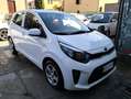 Kia Picanto Picanto 1.0 Active Gpl my18 Bianco - thumbnail 1