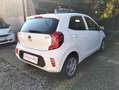Kia Picanto Picanto 1.0 Active Gpl my18 Bianco - thumbnail 5