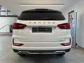 SsangYong Rexton 2.2 D Lux 4WD LED Navi Abstandstempomat Weiß - thumbnail 3