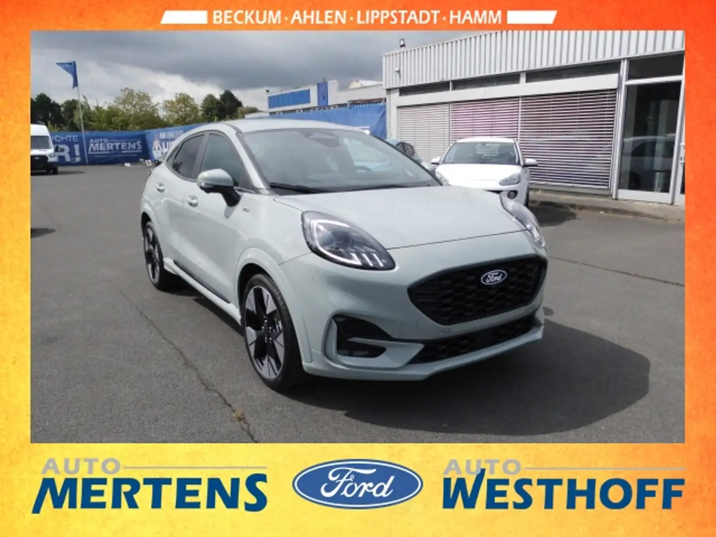 Ford Puma ST-Line 1.0 EcoBoost Mild Hybrid EU6e Gris - 2