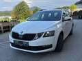Skoda Octavia Allrad Combi Ambition 1.6 TDI - 116 PS, ÖAMTC-geprüft Weiß - thumbnail 1