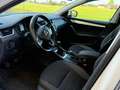 Skoda Octavia Allrad Combi Ambition 1.6 TDI - 116 PS, ÖAMTC-geprüft Weiß - thumbnail 8
