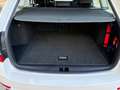 Skoda Octavia Allrad Combi Ambition 1.6 TDI - 116 PS, ÖAMTC-geprüft Weiß - thumbnail 12