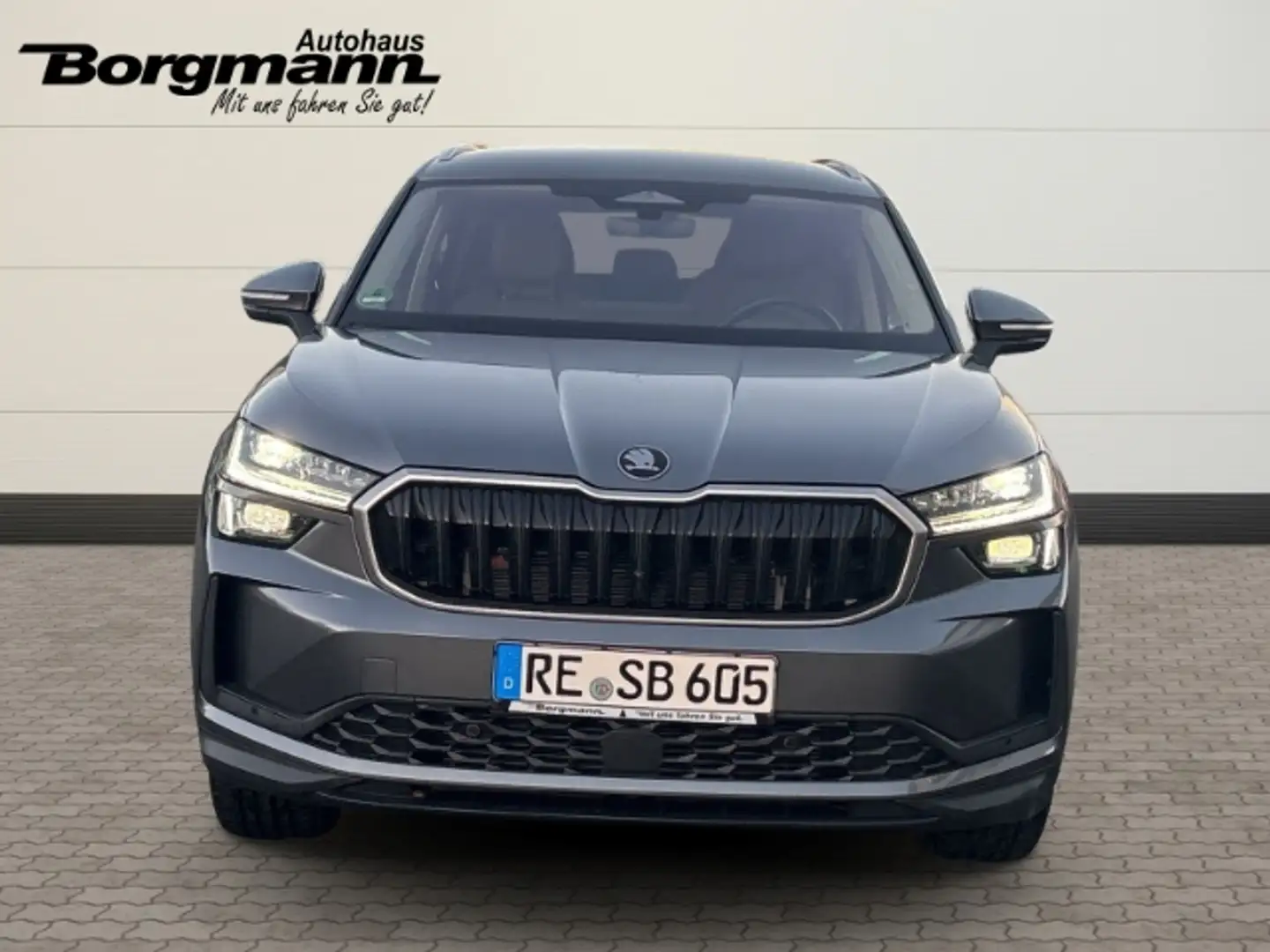Skoda Kodiaq Selection 2.0 TDI 4x4 Rückfahrkamera - Allrad Grau - 2