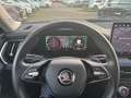 Skoda Kodiaq Selection 2.0 TDI 4x4 Rückfahrkamera - Allrad Grau - thumbnail 18