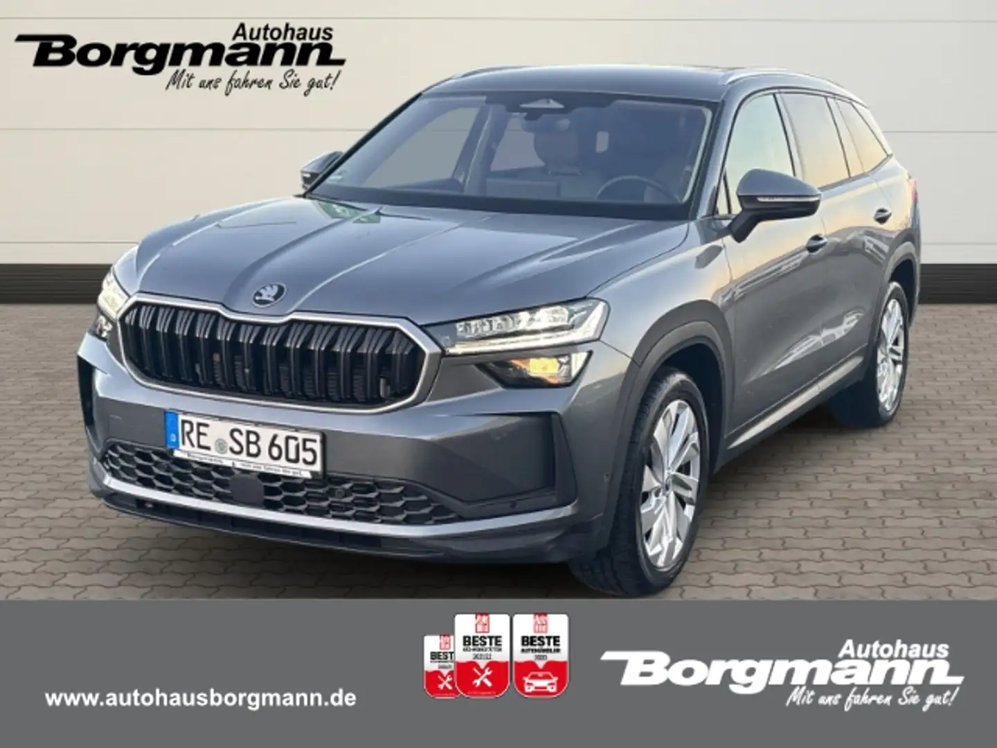 Skoda Kodiaq Selection 2.0 TDI 4x4 Rückfahrkamera - Allrad Grau - 1