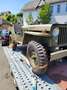 Oldtimer Willys CJ2A Grün - thumbnail 4