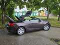 Opel Cascada Cascada 1.4 Turbo Edition Braun - thumbnail 5