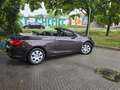 Opel Cascada Cascada 1.4 Turbo Edition Braun - thumbnail 6