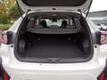 Subaru Crosstrek 2.0ie Edition Comfort Plus AHK abn. Weiß - thumbnail 14