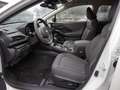 Subaru Crosstrek 2.0ie Edition Comfort Plus AHK abn. Weiß - thumbnail 15