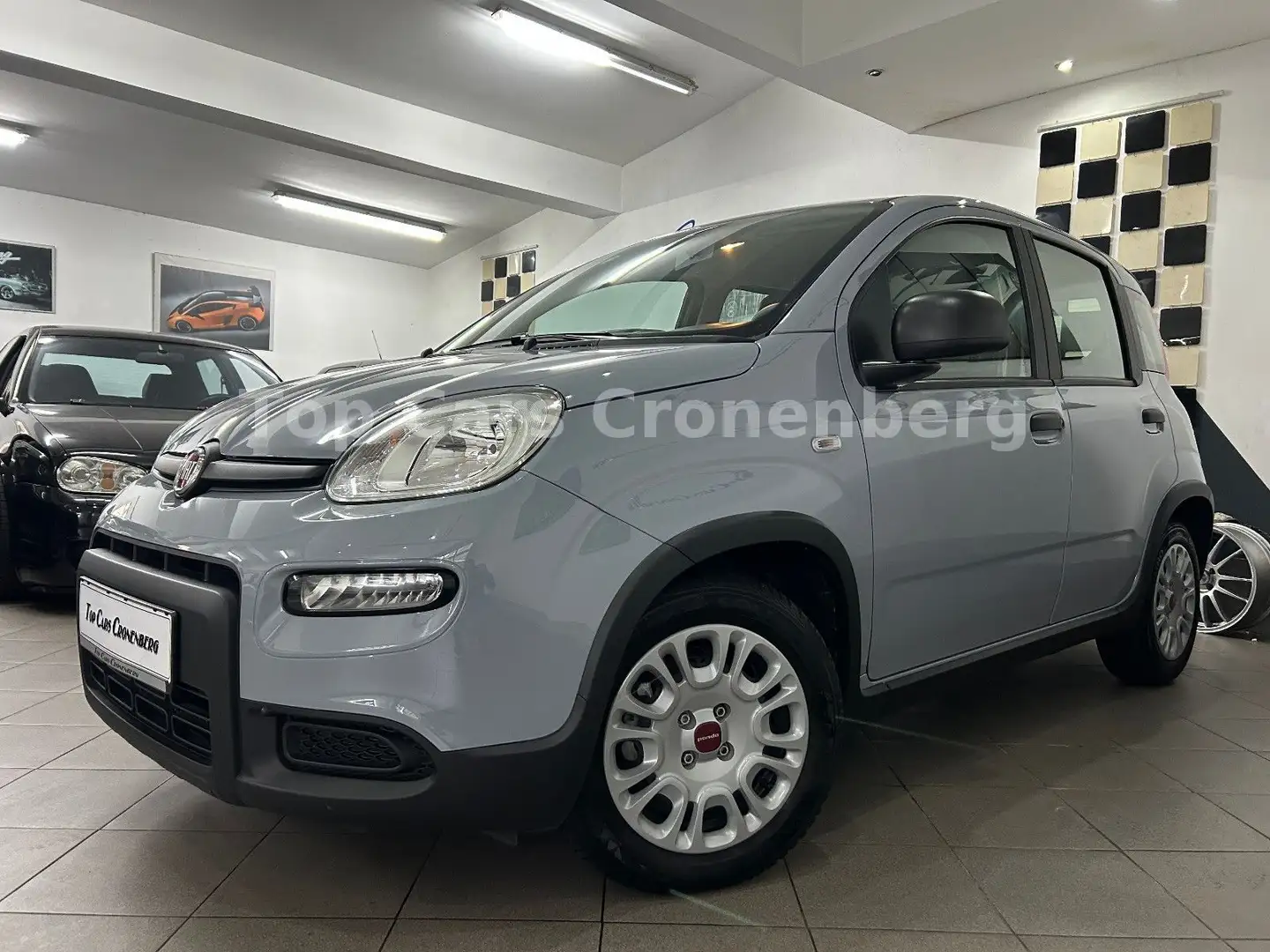 Fiat Panda 1.0 Hybrid Base*14.092KM*DAB*Bluetooth*EU6 Grau - 2
