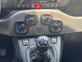 Fiat Panda 1.2 Grigio - thumbnail 10