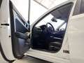 Honda Civic eHev eCVT Advance FULL-HYBRID Bianco - thumbnail 5