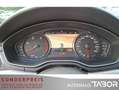 Audi A4 40 TDI S-tronic quattro Avant sport ACC Lane - thumbnail 5