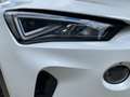 CUPRA Formentor 1.5 TSI LED+ACC+KLIMA+SITZHEIZUNG+DAB Weiß - thumbnail 16