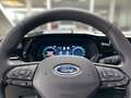 Ford Tourneo Connect PHEV L1 Active Navi, Klima Grau - thumbnail 13